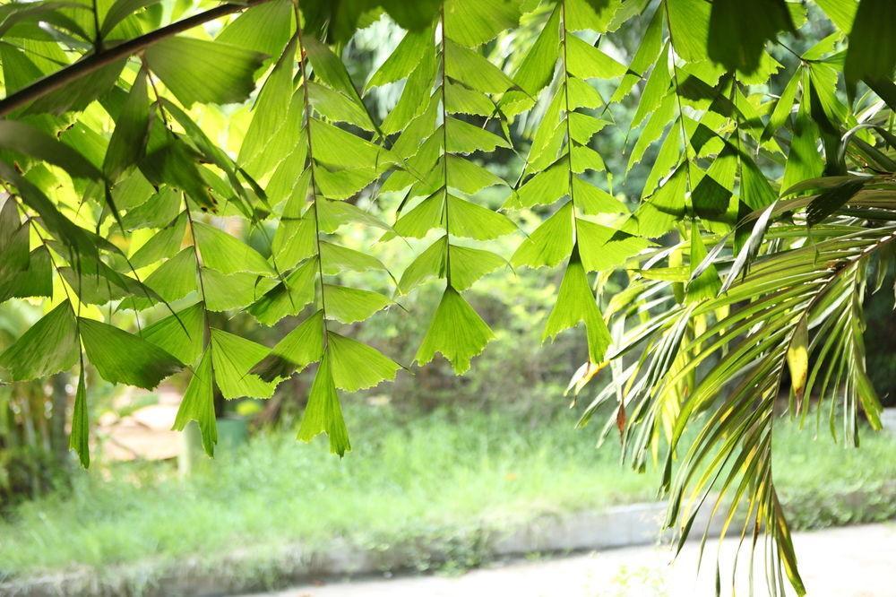 The Kabiki Hotel Phnom Pen Exterior foto